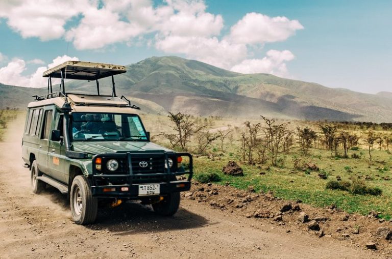 Safari Tours Online Booking System