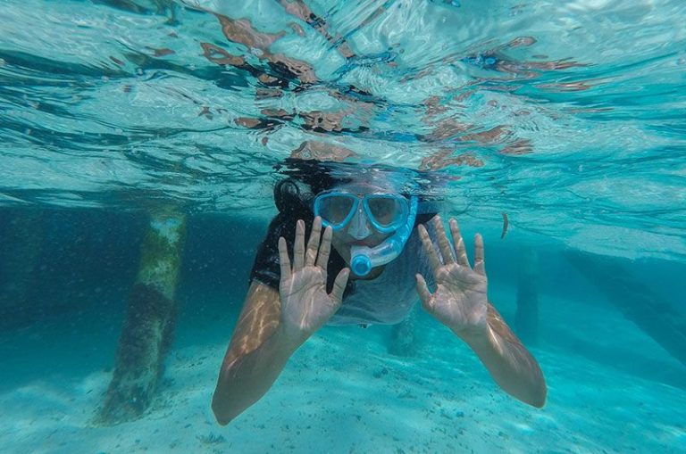 Snorkeling Booking Software: Let Roverd Handle the Details