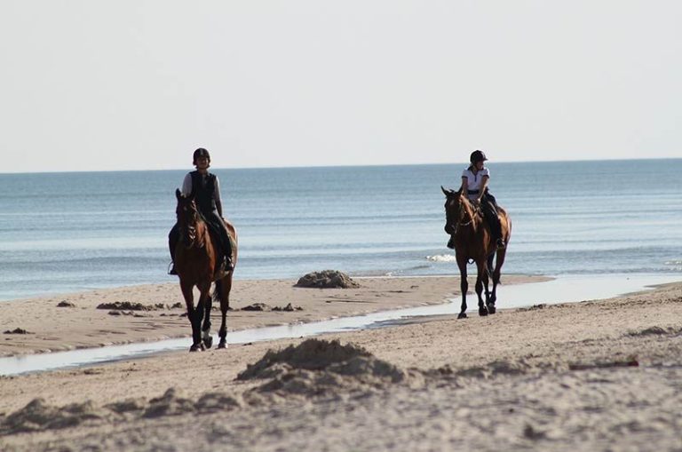 Horseback Riding Booking Software: Simplify Your Scheduling