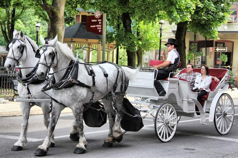 Carriage Rides Online Booking System