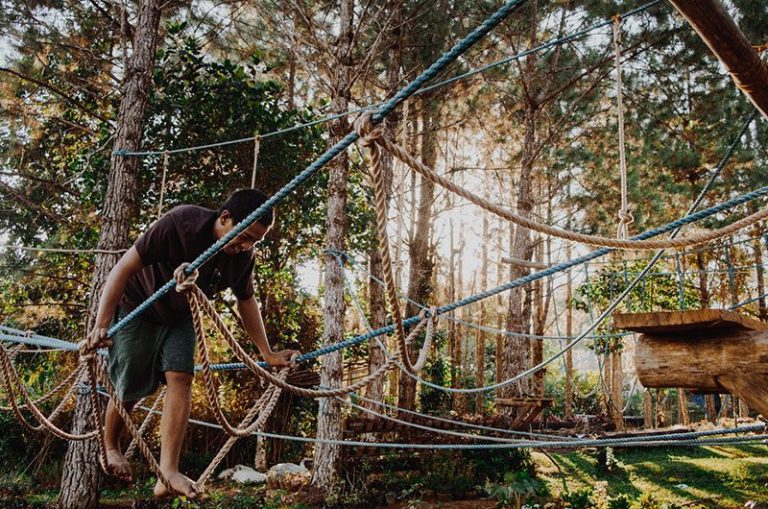Aerial Adventure Parks Online Booking Made Easy