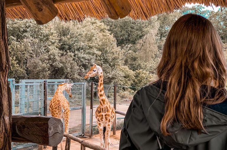 Simplify Your Zoo’s Bookings with Roverd